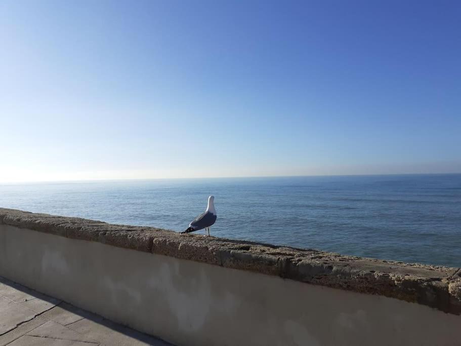Mar Y Sol Cádis Exterior foto